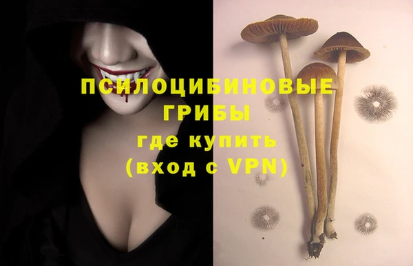 кристаллы Абаза